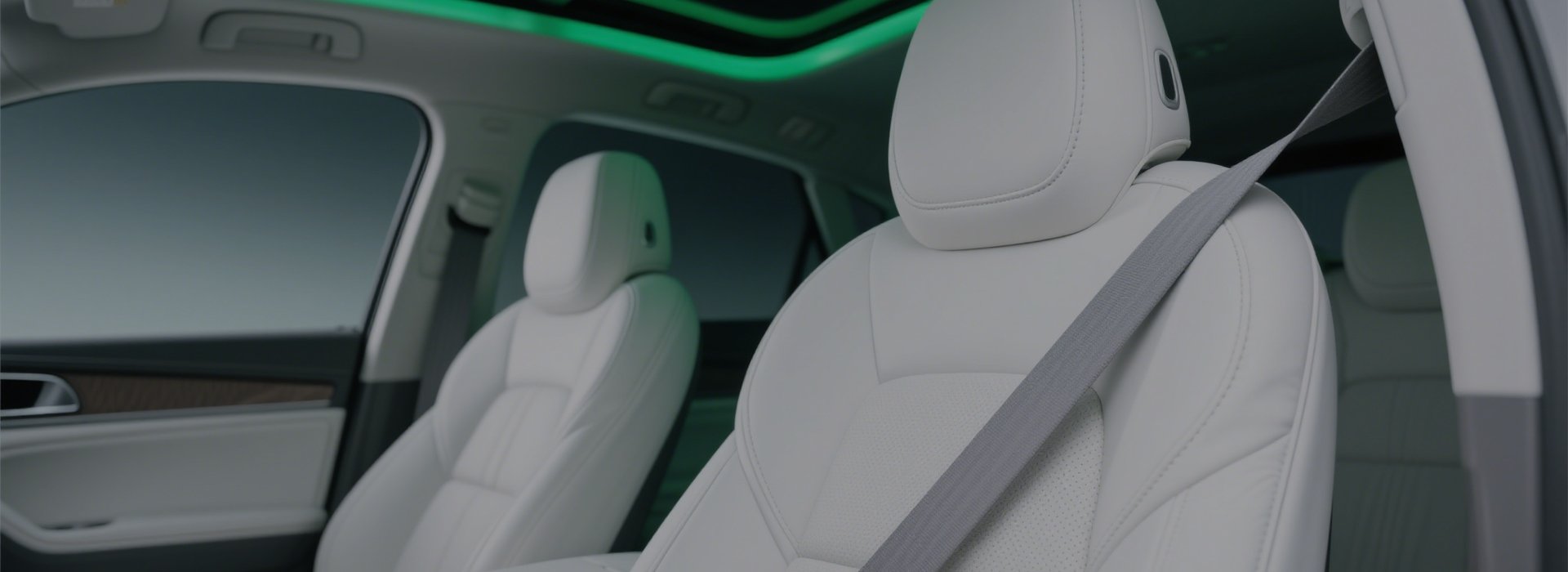 Gray Seat Belt
