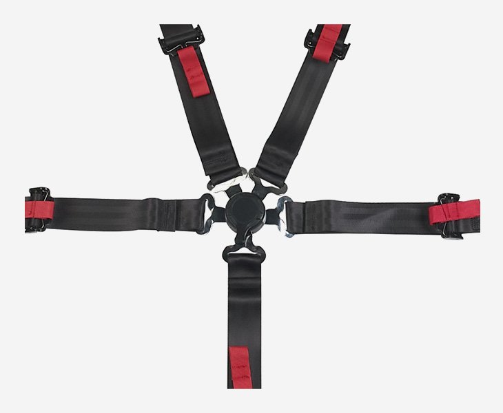 Customize Your 5 Point Seat Belt