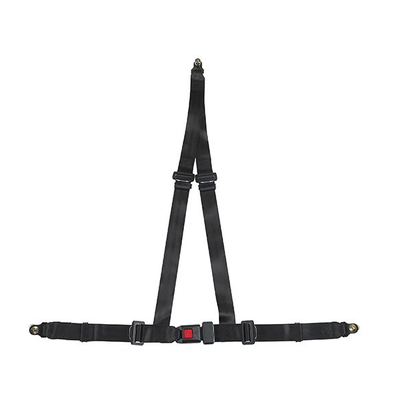 3 Point Seat Belt