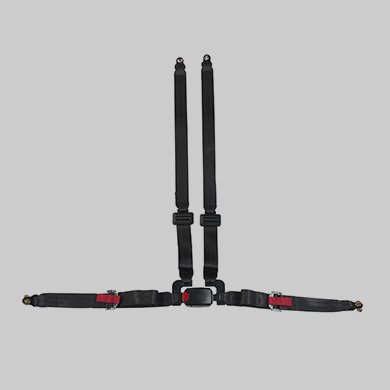 4 Point Seat Belt
