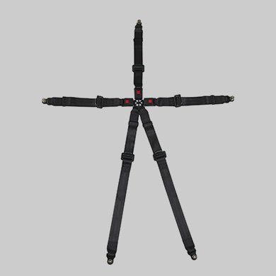 5 Point Seat Belt_