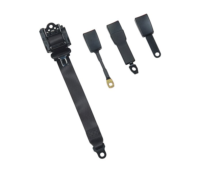 Black Seat Belt -2