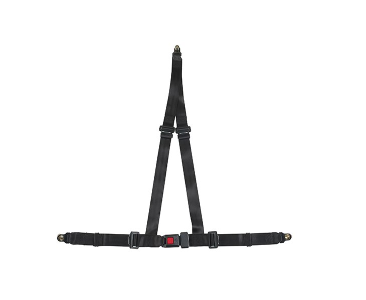 Black Seat Belt -3