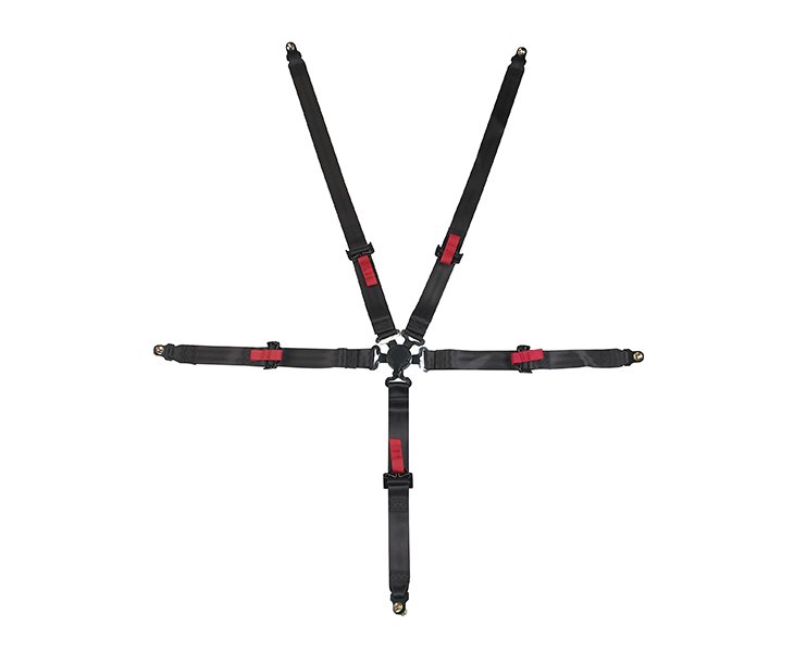 Black Seat Belt -5