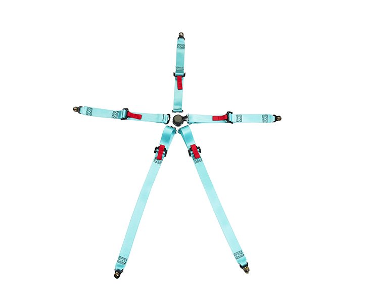 Blue Seat Belt-2