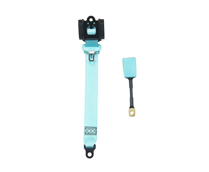 Blue Seat Belt-4