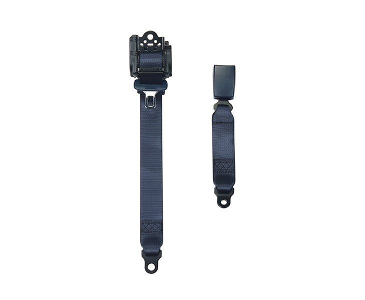 Blue Seat Belt-5