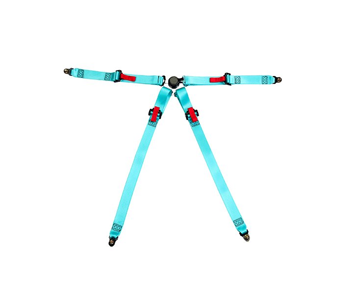 Blue Seat Belt-6