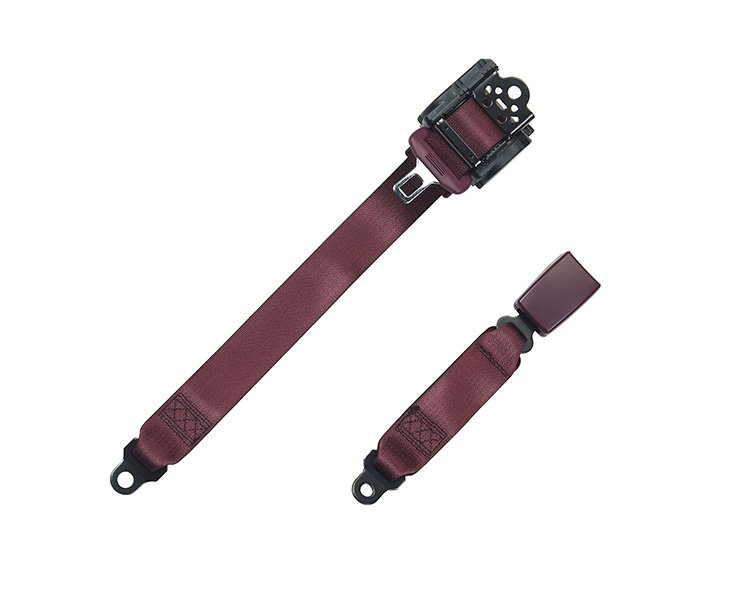 Purple seat belt-2