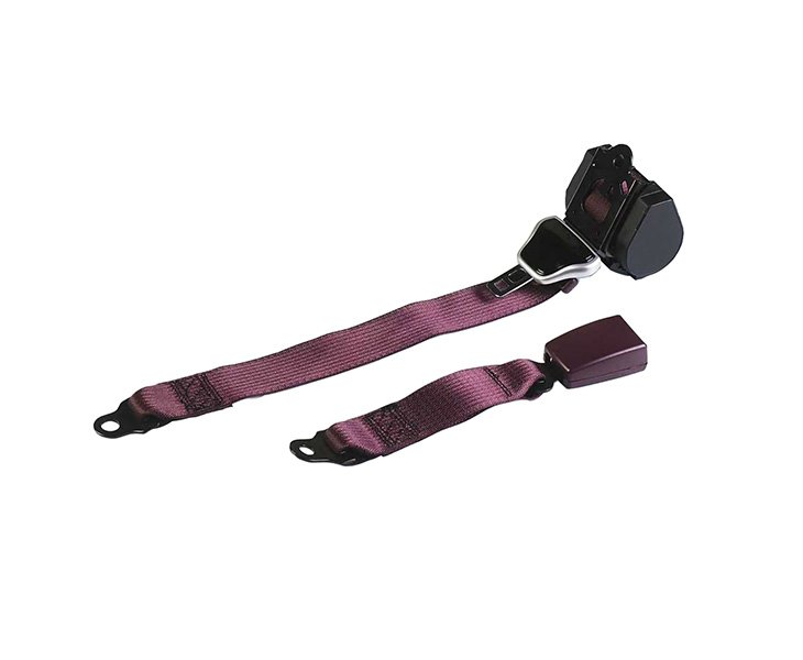 Purple seat belt-4