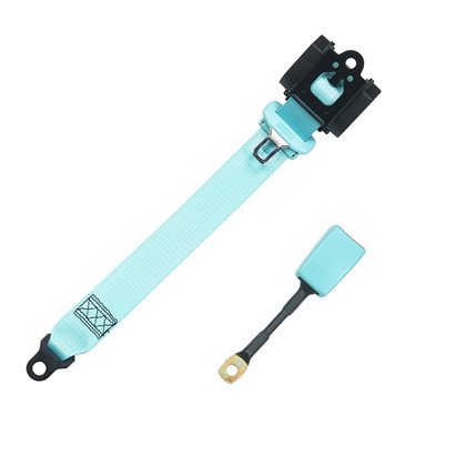 Blue Seat Belt