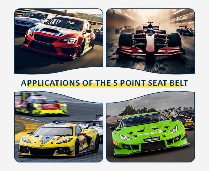 5 Point Seat Belt Application