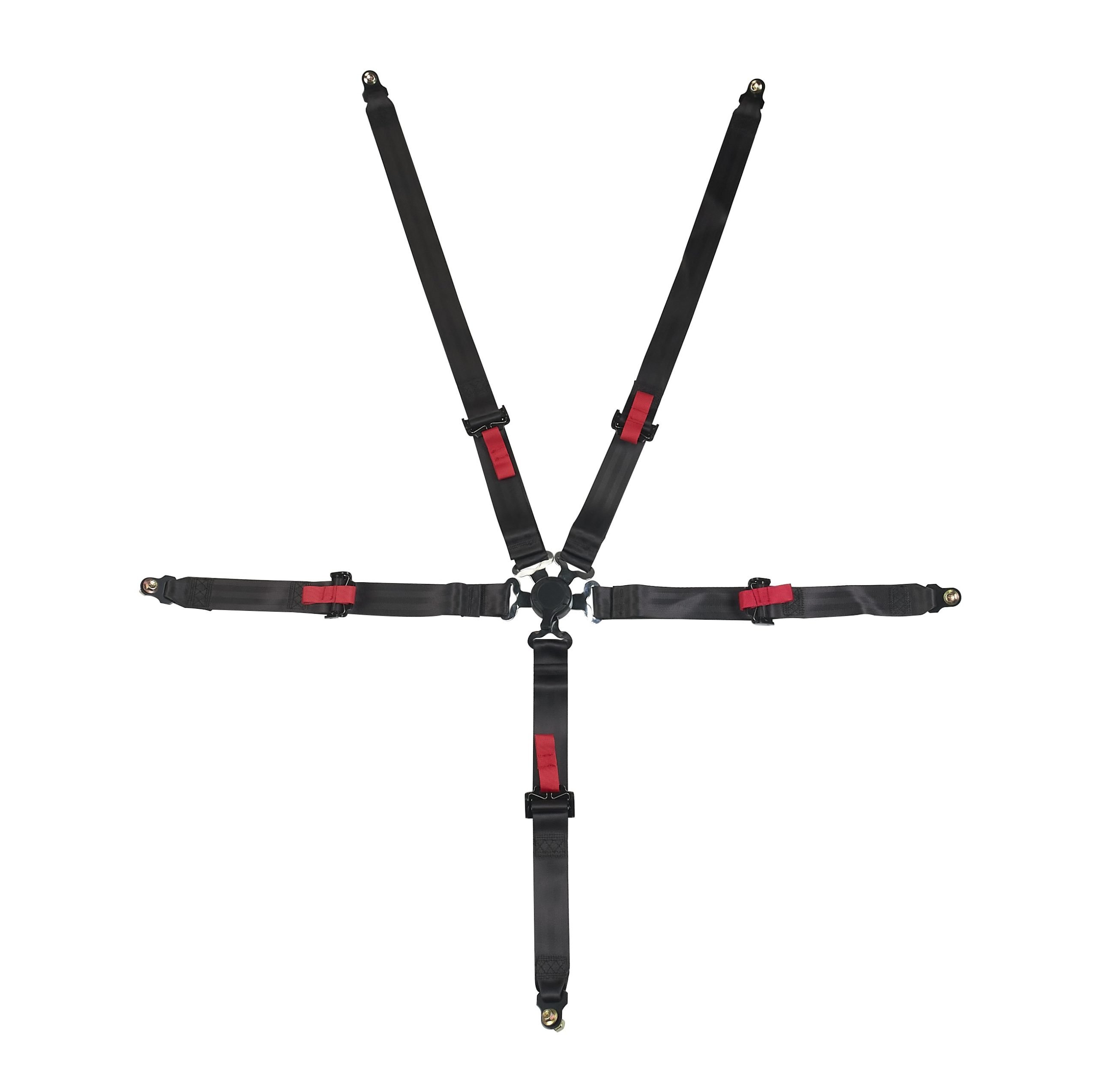 5 point seat belt