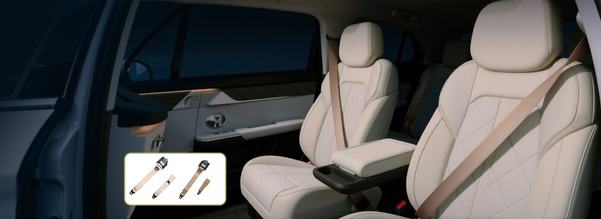 Beige Seat Belt